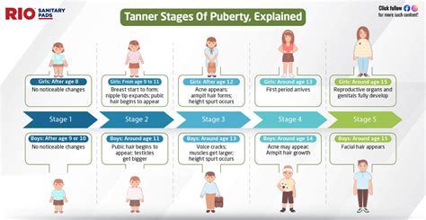 teen sex bilder|Stages of Puberty Explained in Pictures